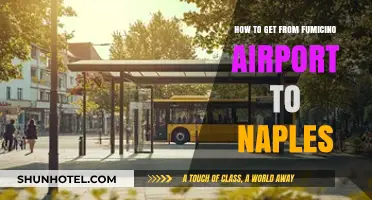Fiumicino to Naples: Quick & Easy Travel Guide