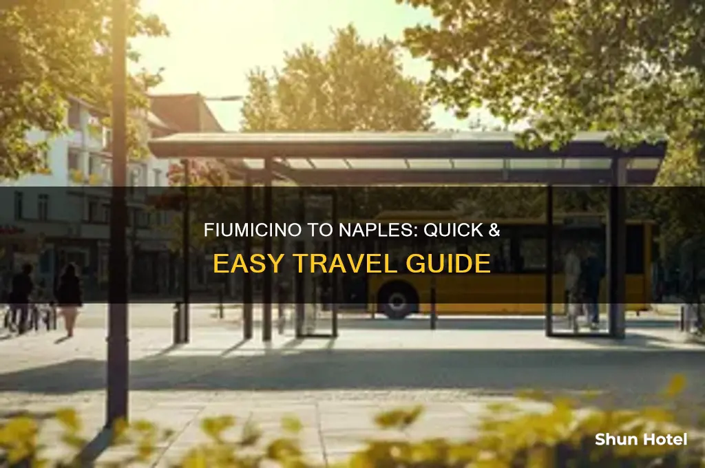 how to get from fumicino airport to naples