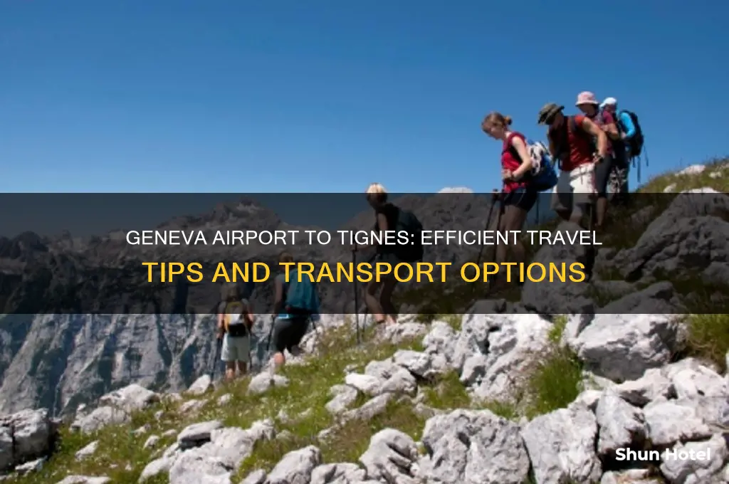 how to get from geneva airport to tignes
