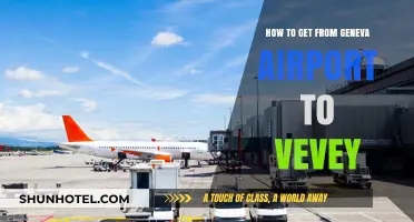 Travel Guide: Geneva Airport to Vevey – Easy Transport Options