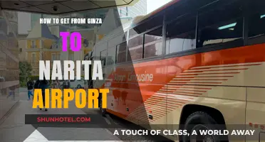 Efficient Travel Guide: Ginza to Narita Airport Transport Options