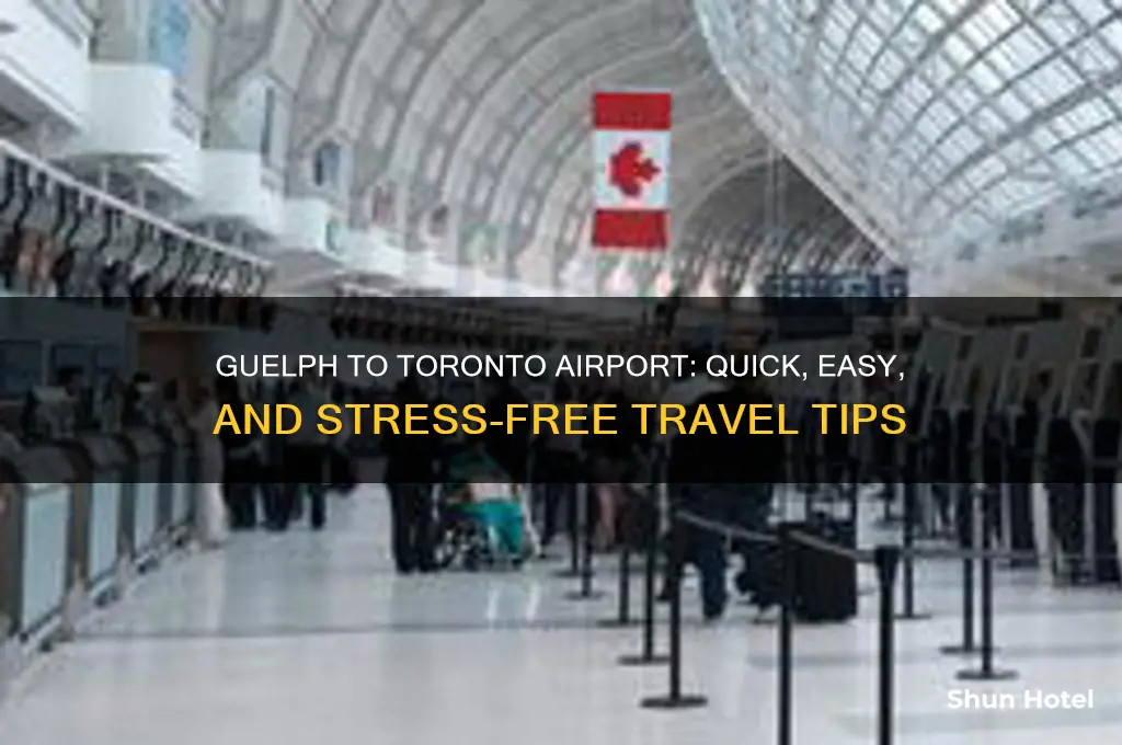 how to get from guelph to toronto airport