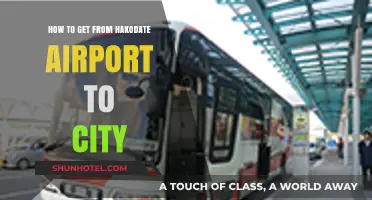 Hakodate Airport to City: Quick, Easy, and Affordable Travel Guide