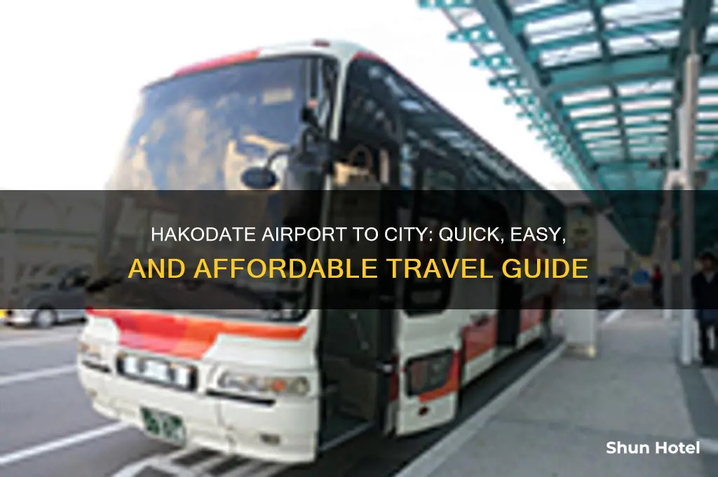 how to get from hakodate airport to city
