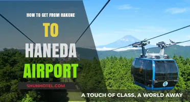 Hakone to Haneda: Efficient Travel Tips for a Smooth Airport Journey