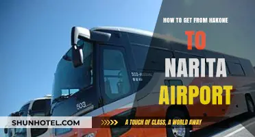 Travel Guide: Hakone to Narita Airport – Easy Transport Tips
