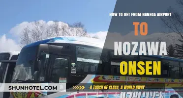 Travel Guide: Haneda Airport to Nozawa Onsen Transport Options