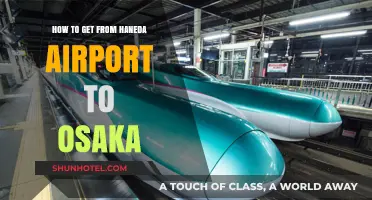 Travel Guide: Haneda Airport to Osaka – Easy Transport Options
