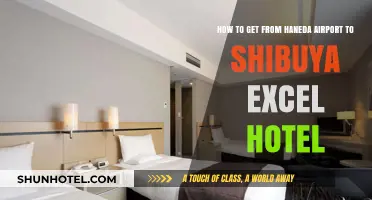 Travel Guide: Haneda Airport to Shibuya Excel Hotel Easy Route