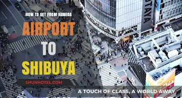 Easiest Ways to Travel from Haneda Airport to Shibuya, Tokyo