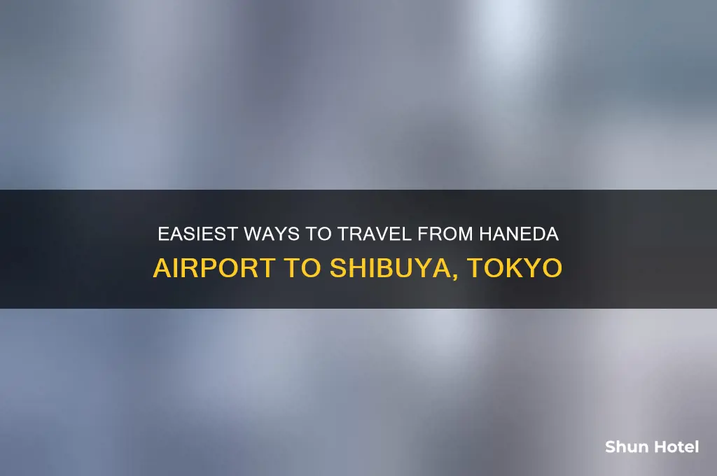 how to get from haneda airport to shibuya