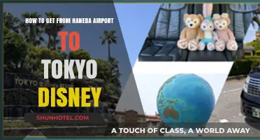Haneda to Tokyo Disney: Easy Transport Guide for Visitors