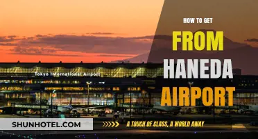 Efficient Travel Tips: Navigating from Haneda Airport to Tokyo