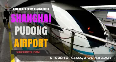 Travel Guide: Hangzhou to Shanghai Pudong Airport Transport Options