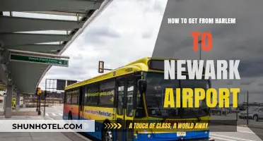 Harlem to Newark Airport: Quick, Easy, and Stress-Free Travel Tips