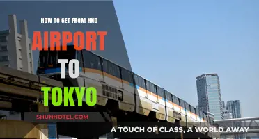 Traveling from Haneda Airport to Tokyo: Easy Transport Options