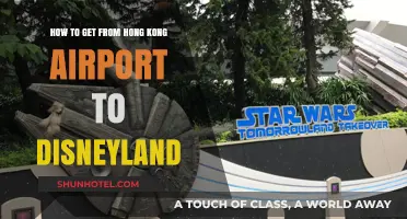 Easy Transport Options: Hong Kong Airport to Disneyland Guide