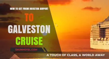 Houston Airport to Galveston Cruise: Easy Transportation Options & Tips