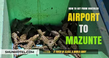Travel Guide: Huatulco Airport to Mazunte – Easy Transport Tips