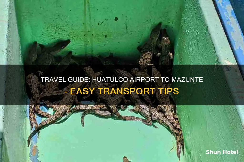 how to get from huatulco airport to mazunte