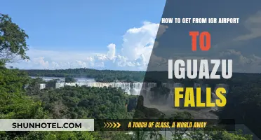 Travel Guide: IGR Airport to Iguazu Falls Transportation Options