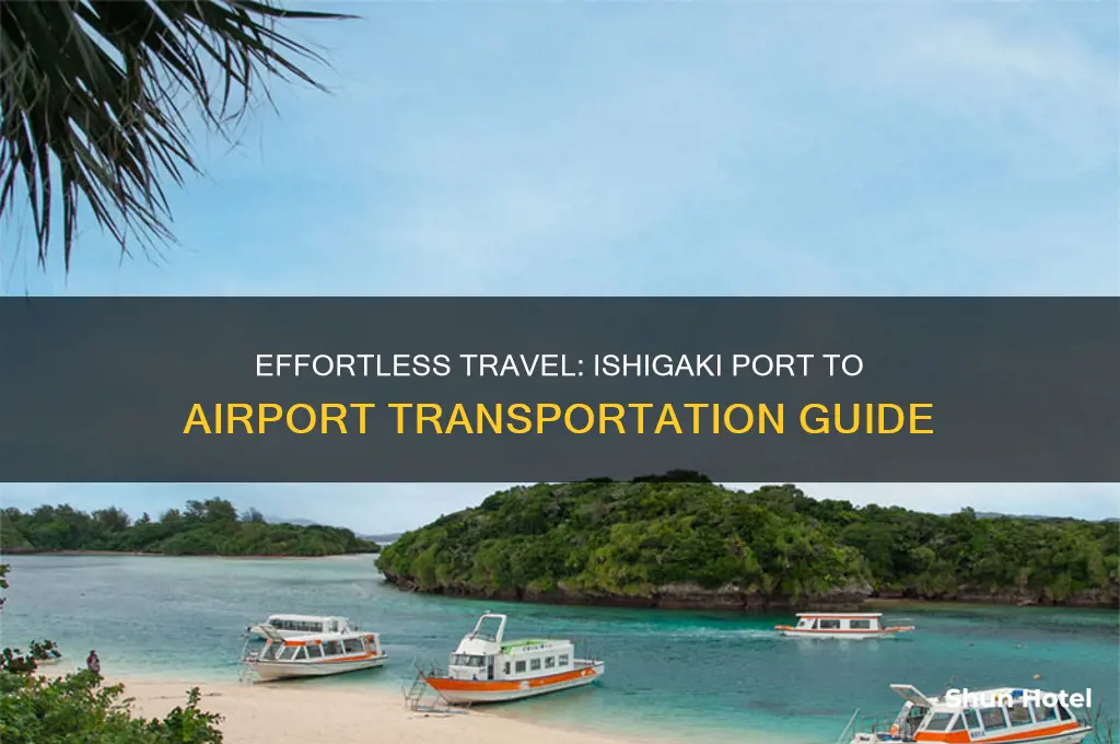 how to get from ishigaki port to airport