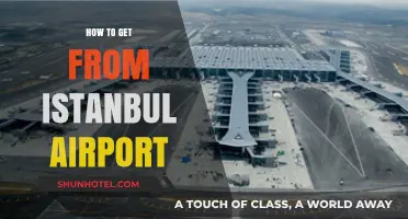 Navigating Istanbul Airport: Easy Transport Options to the City Center