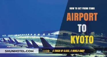 Travel Guide: Itami Airport to Kyoto - Easy Transport Options