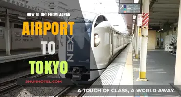 Traveling from Japan Airport to Tokyo: Easy Transport Options