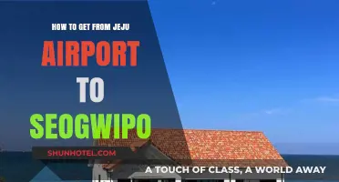 Jeju Airport to Seogwipo: Easy Transportation Options & Travel Tips