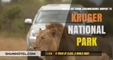 Travel Guide: Johannesburg Airport to Kruger National Park Journey