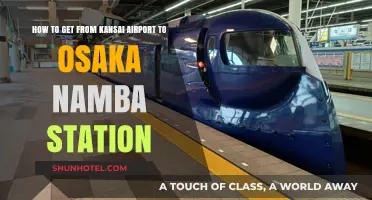 Easiest Ways to Travel from Kansai Airport to Osaka Namba Station