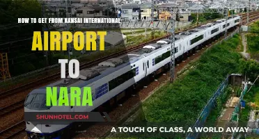 Travel Guide: Kansai Airport to Nara – Easy Transport Options