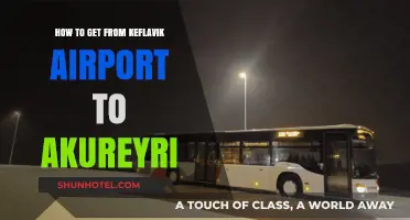 Travel Guide: Keflavik Airport to Akureyri Transport Options & Tips