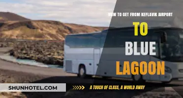 Keflavik Airport to Blue Lagoon: Easy Transport Options & Tips