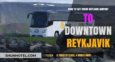 Keflavik to Reykjavik: Quick & Easy Transport Options Downtown