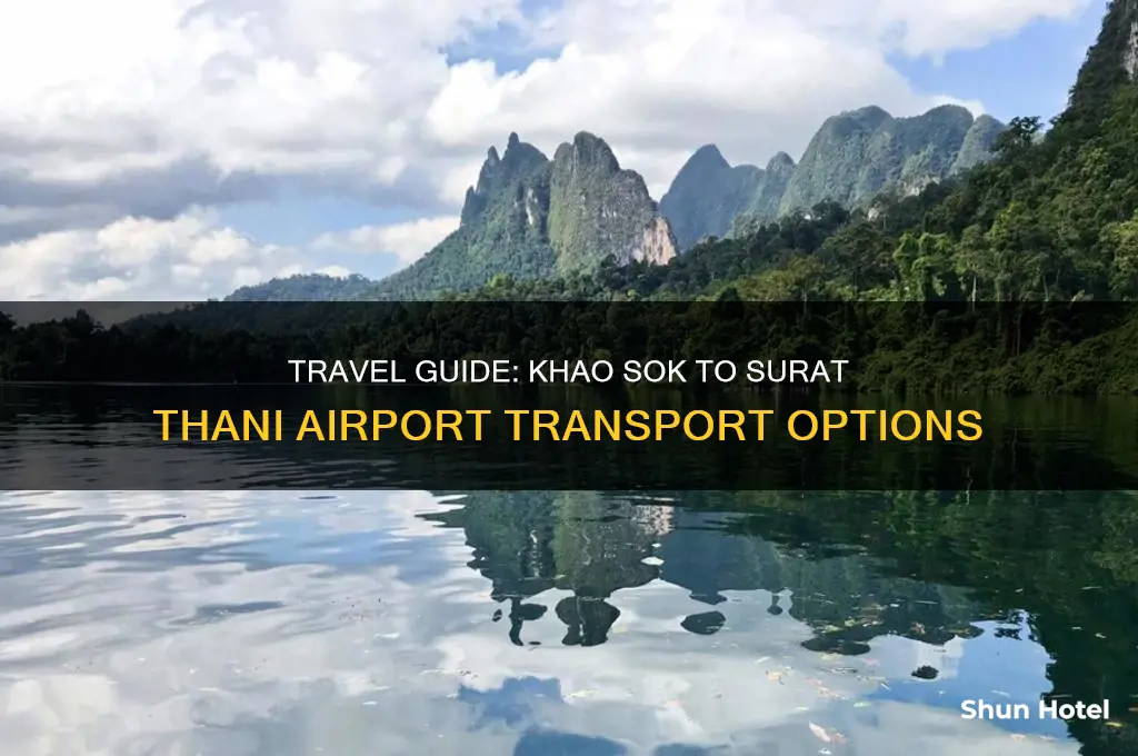 how to get from khao sok to surat thani airport