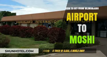 Traveling from Kilimanjaro Airport to Moshi: Easy Transport Tips
