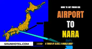 Travel Guide: Easy KIX Airport to Nara Transportation Options