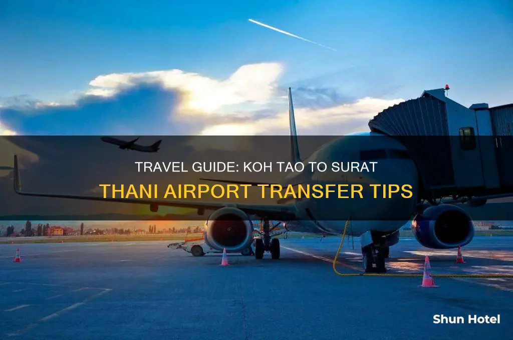 how to get from koh tao to surat thani airport