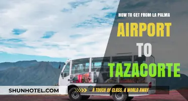 Travel Guide: La Palma Airport to Tazacorte Transport Options