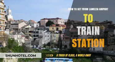 Easy Lamezia Airport to Train Station Transfer Guide