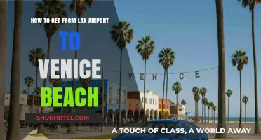 LAX to Venice Beach: Quick, Easy, and Affordable Travel Tips