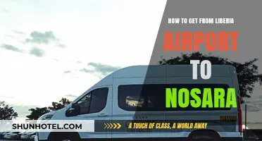 Travel Guide: Liberia Airport to Nosara – Easy Transport Options