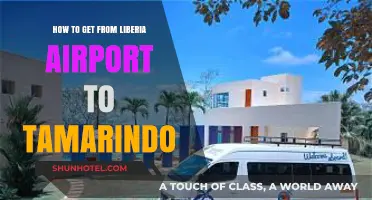 Travel Guide: Liberia Airport to Tamarindo Transport Options Simplified