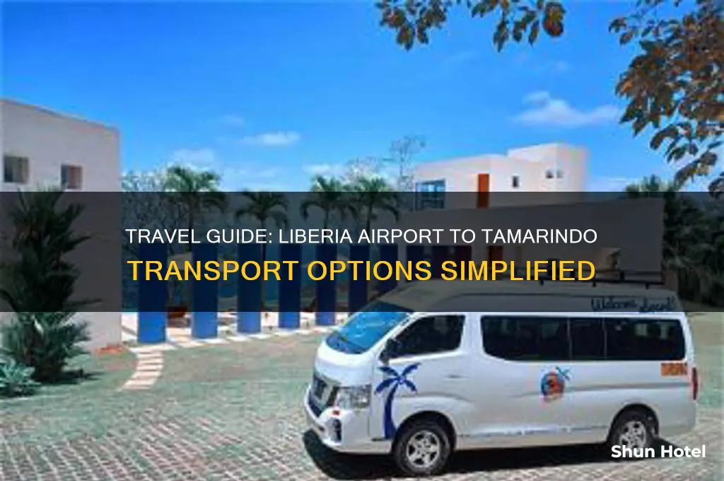 how to get from liberia airport to tamarindo