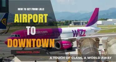 Easiest Ways to Travel from Lille Airport to Downtown Lille
