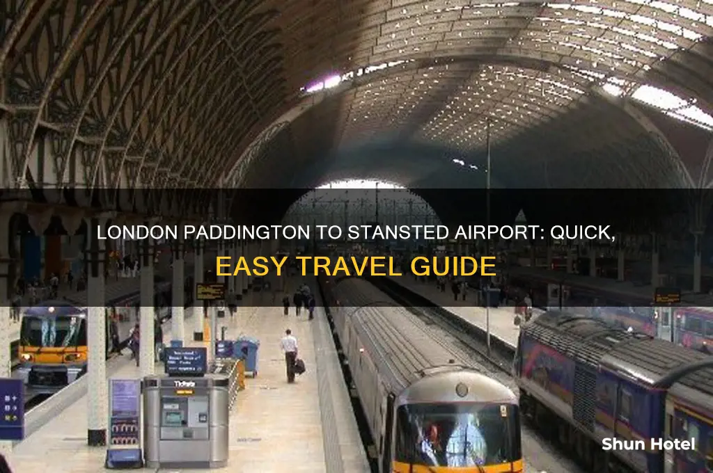 how to get from london paddington to stansted airport