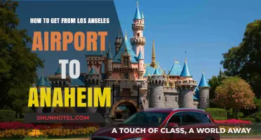 LAX to Anaheim: Easy Transportation Options and Travel Tips