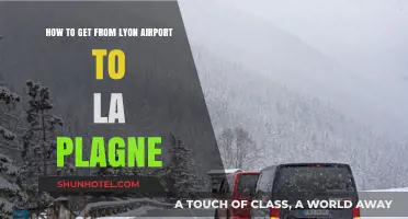 Lyon Airport to La Plagne: Easy Transport Options & Travel Tips